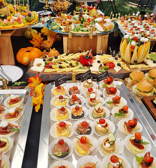 catering3